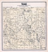York Township, Tama County 1875